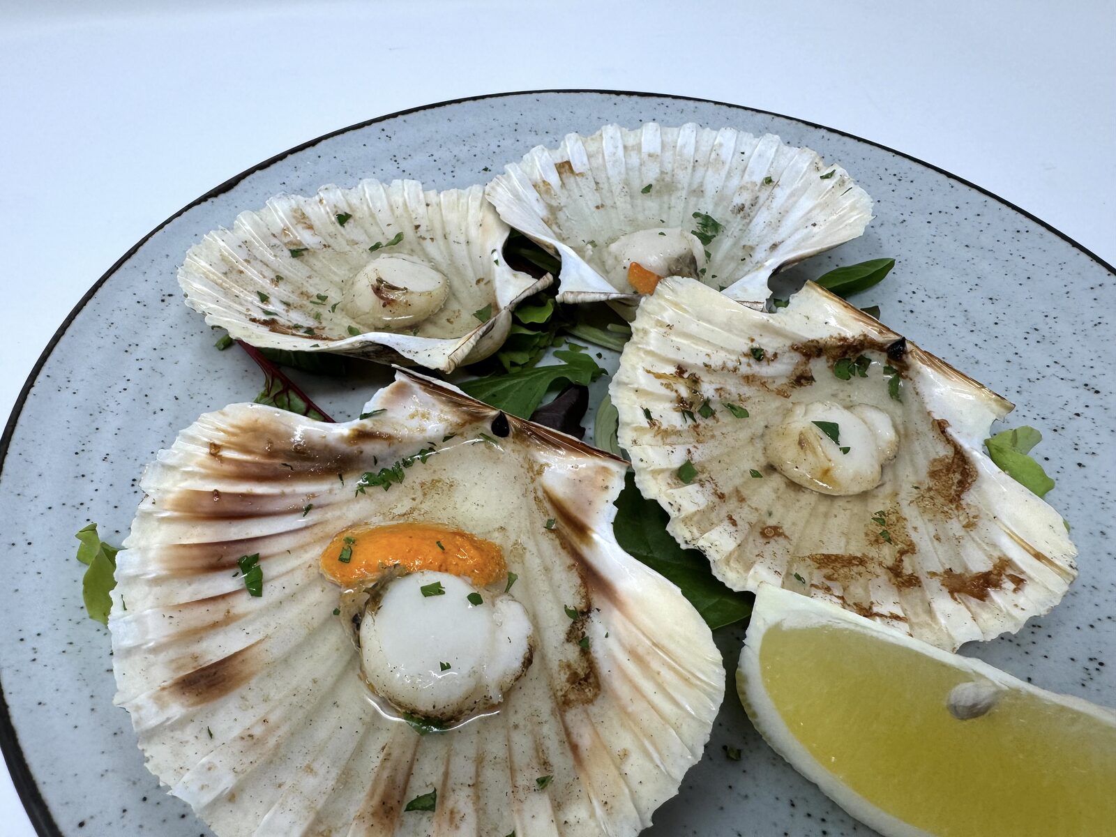 Capesante alla griglia con olio di semi, sale e pepe
