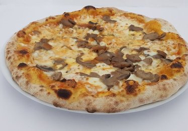 Funghi champignon