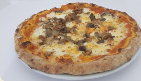 Misto funghi di bosco